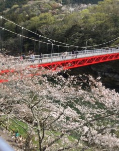 桜淵橋
