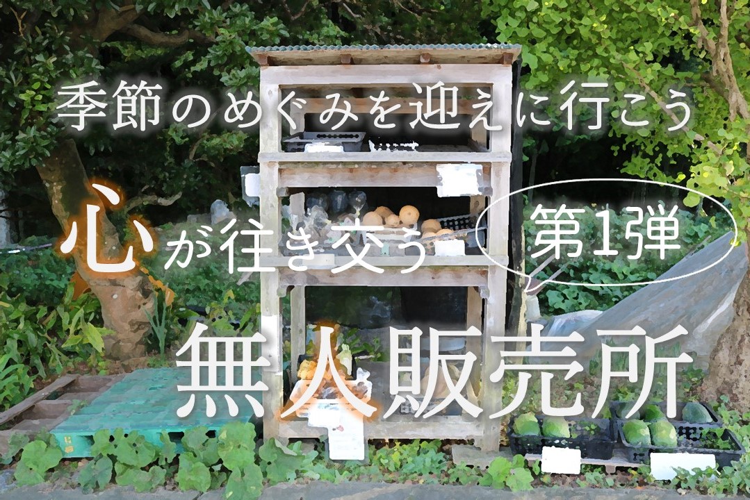 季節のめぐみを迎えに行こう　心が往き交う無人販売所①