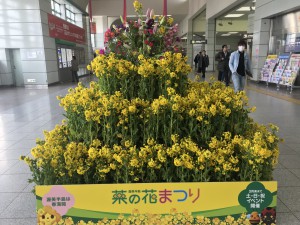 A721A9A9-C32E-4B68-8E0B-7D407B69B1DA
